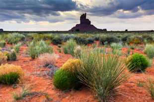 The Big Indian-0893